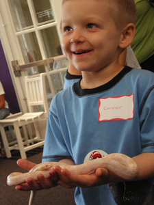 A Young snake charmer